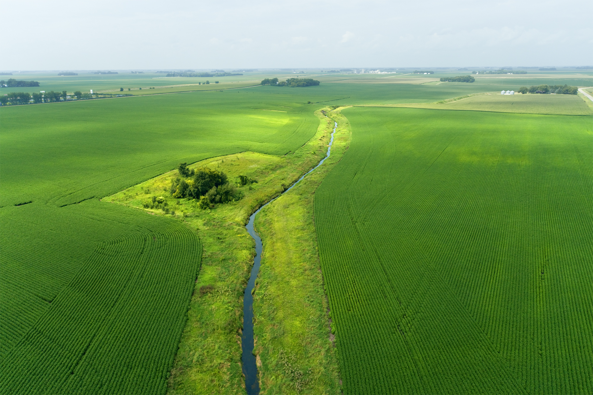 Hover mouse over logo at top left to see menu; click to go to next picture