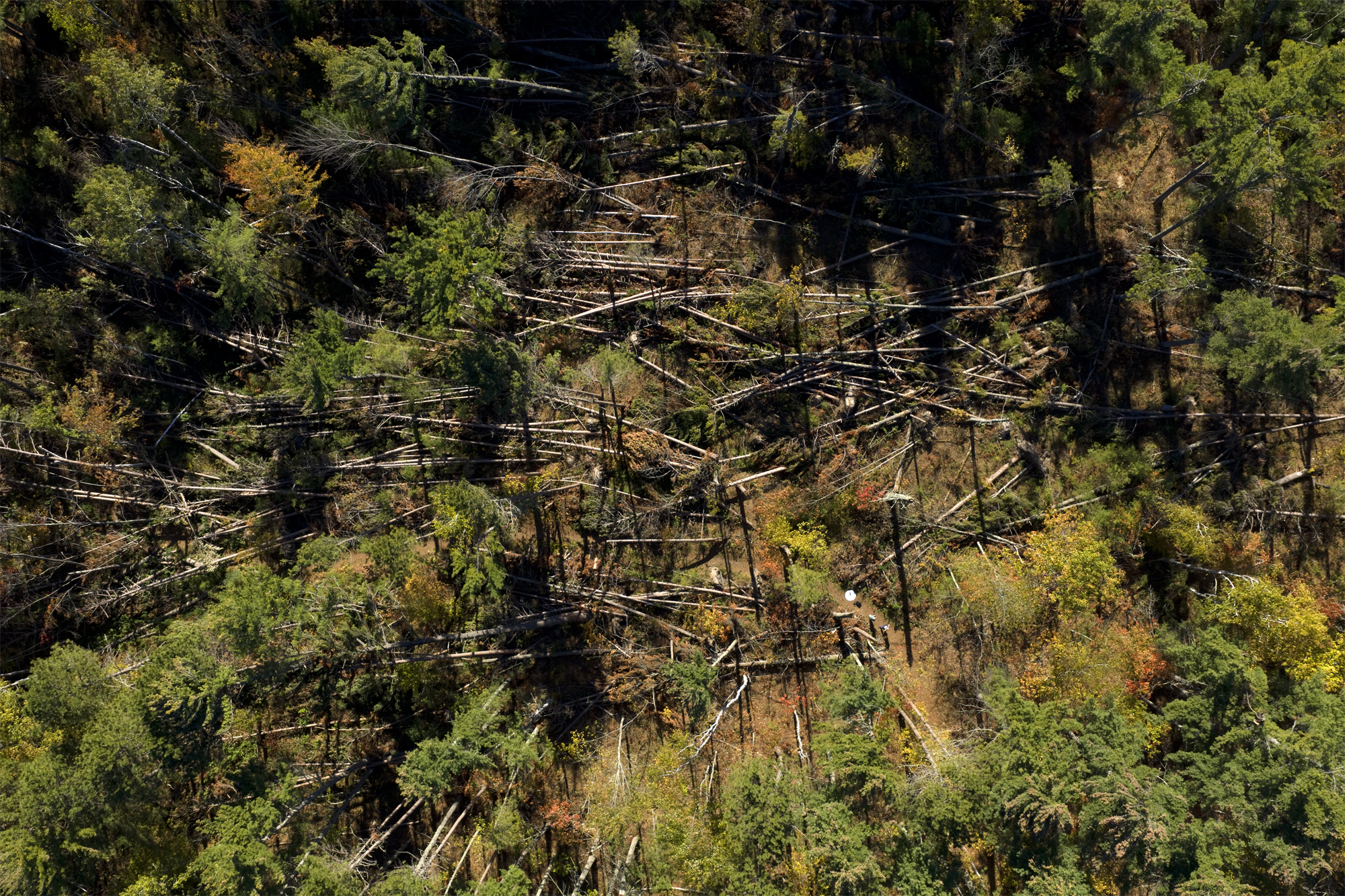 Hover mouse over logo at top left to see menu; click to go to next picture