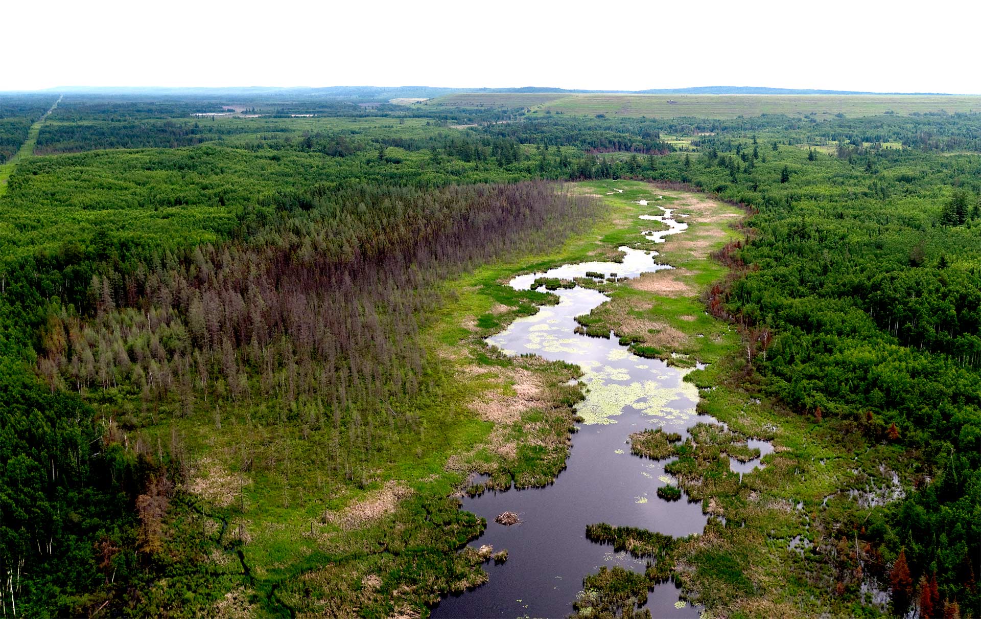 In this 2018 drone picture looking southeast at the northwest corner of the Flotation Tailings Basin you can see the step-stairs of the upstream dams. The wetlands in the foreground are the result of large amounts of seepage over the iron ore tailings for the past 60 years