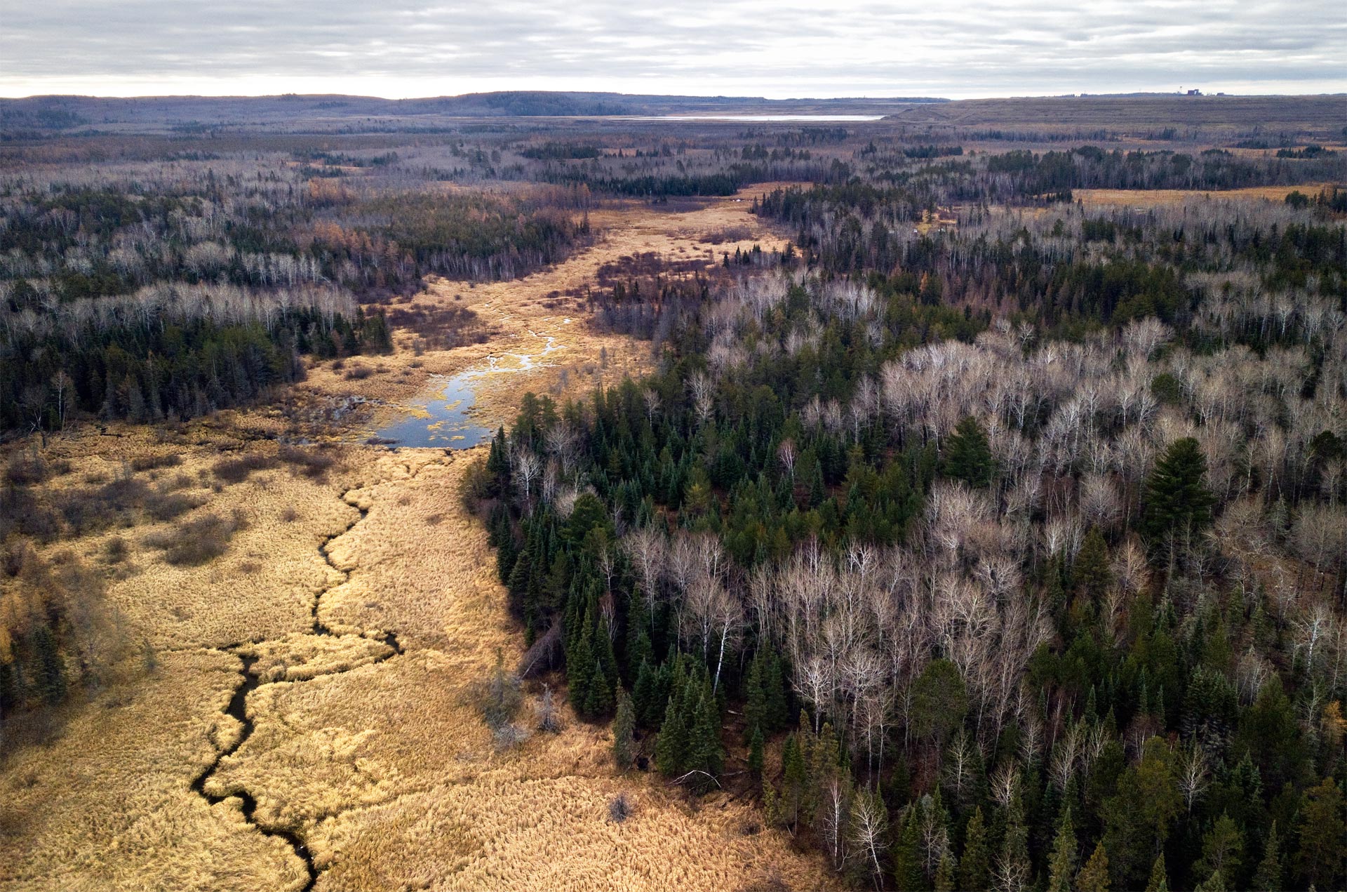 Trimble Creek starts just north of the proposed NorthMet tailings dam. If the dam fails Trimble Creek will be the pollution's route to the Embarrass River, on to the St Louis River, and down to Lake Superior. The existing tailings dam can be seen top right (the dam itself), and to the left of that - water in the dam.